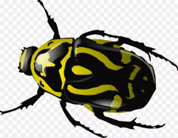 大众甲虫-瓢虫剪贴画-黄色斑纹甲虫