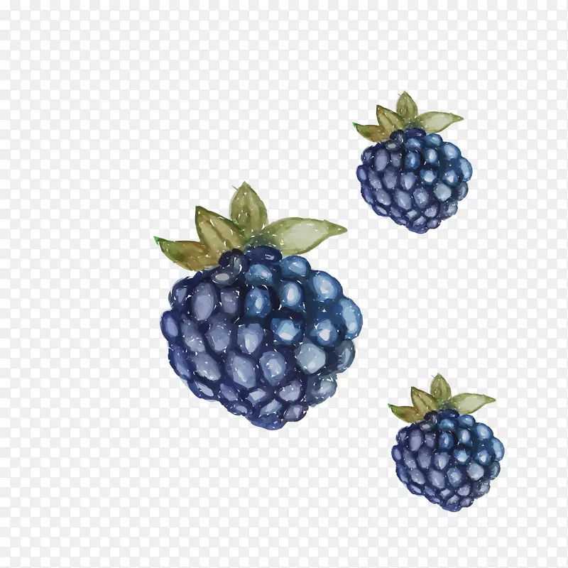 慕斯果仁和博斯科水果食品-蓝莓