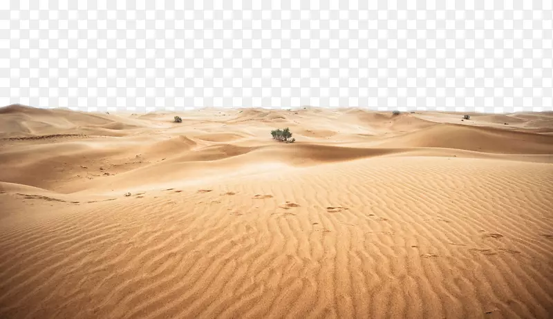 撒哈拉沙漠-沙漠