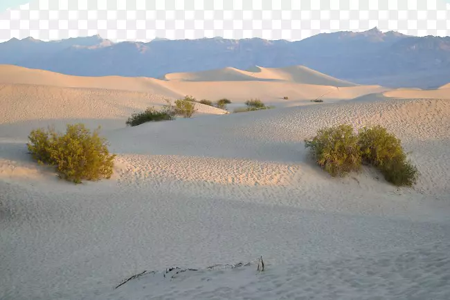 撒哈拉沙漠，加利福尼亚沙漠，风沙地貌-沙漠日落