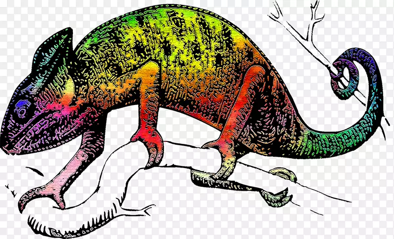 变色龙蜥蜴爬行动物普通蜥蜴t恤色变色龙