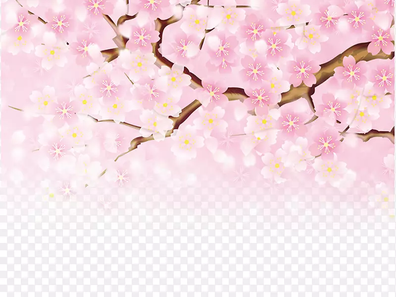 桃花底粉红色海报-粉红色樱花