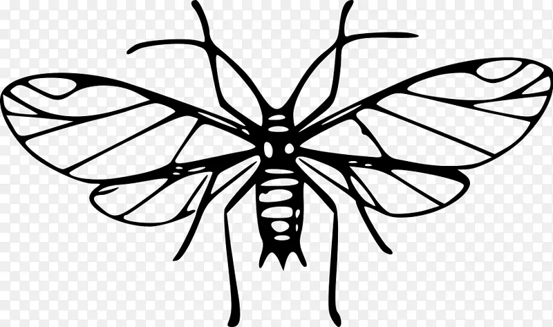 蚊虫虱蚊蚁夹艺术.蚊虫剪贴画