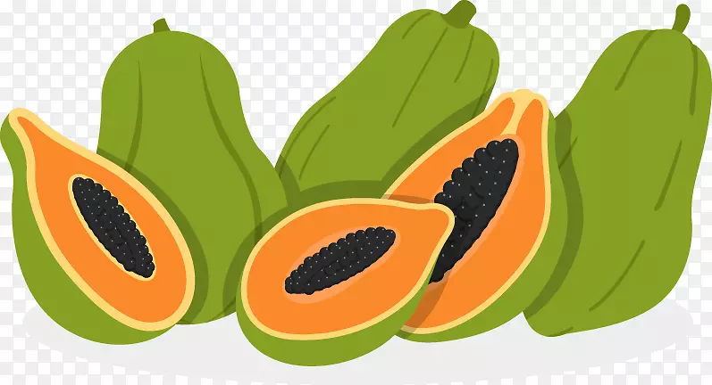 木瓜水果插图-木瓜