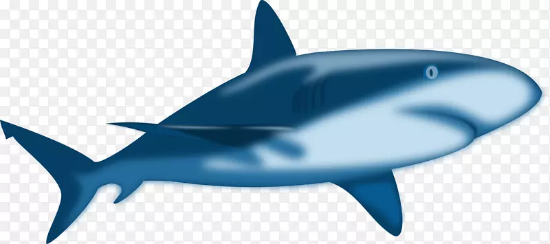 无鲨鱼内容剪贴画-鲨鱼