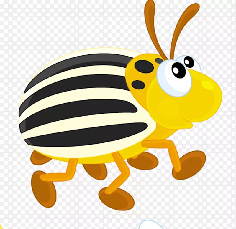 科罗拉多马铃薯甲虫蜜蜂
