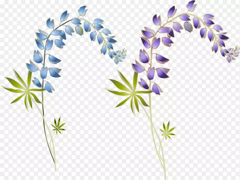 花卉设计-紫丁香-两丁香