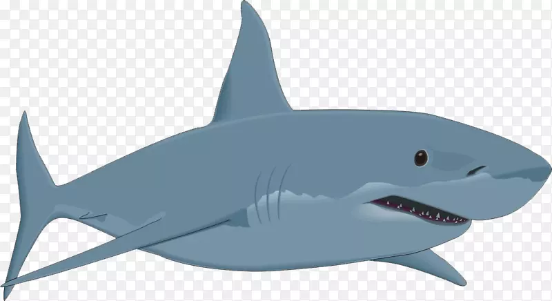 牛鲨剪贴画-鲨鱼，鲨鱼