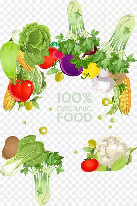素食菜系蔬菜水果插图-蔬菜边框