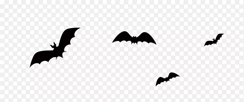 蝙蝠万圣节灯笼黑蝙蝠