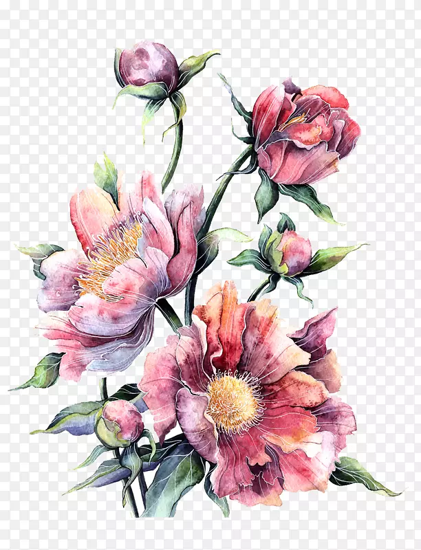 花卉水彩画花型印刷水彩粉红牡丹盛开