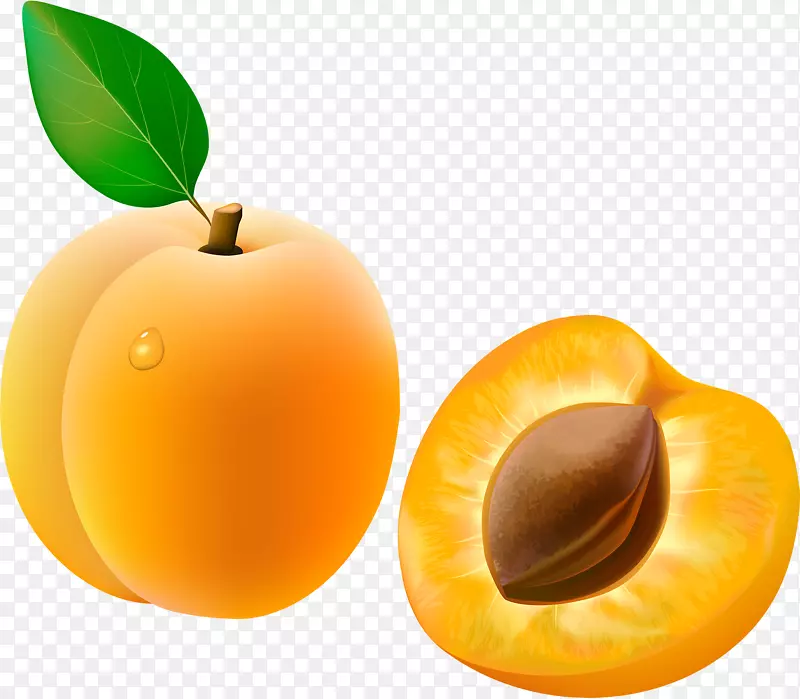 杏果夹艺术-黄杏