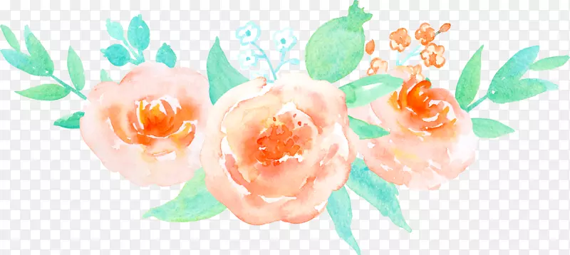 花园玫瑰海滩玫瑰花橙色彩绘玫瑰图案