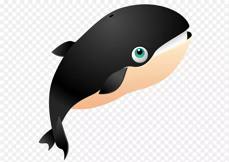 底栖区鲨鱼鲸海洋海洋生物.鲸载体