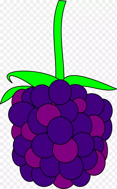 黑莓剪贴画-一串葡萄