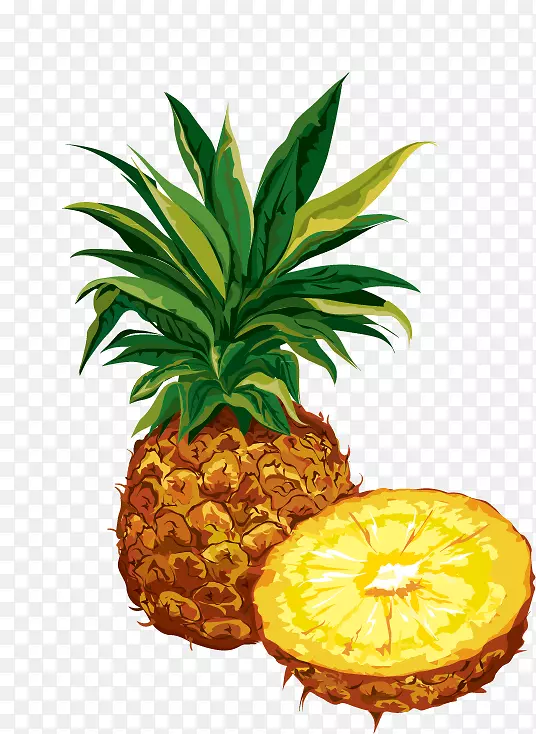 菠萝干水果有机食品剪贴画-菠萝