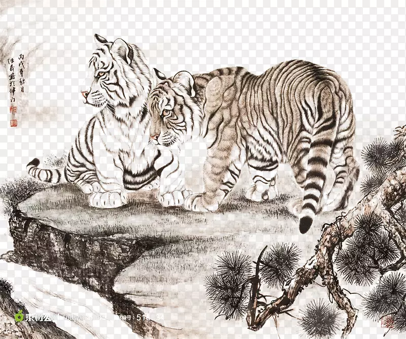 亚欧山猫虎、狮子猫、食肉虎-嬉戏的老虎