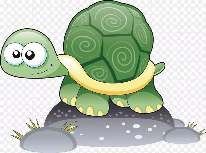 海龟卡通画-海龟