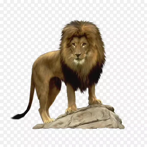 狮子猫-卡通狮子
