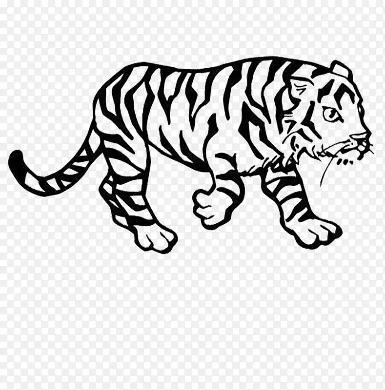 西伯利亚虎，孟加拉虎，着色书，狮子，猫，老虎，十二生肖