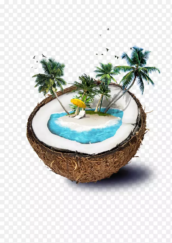 斐济椰子水海滩岛-椰子
