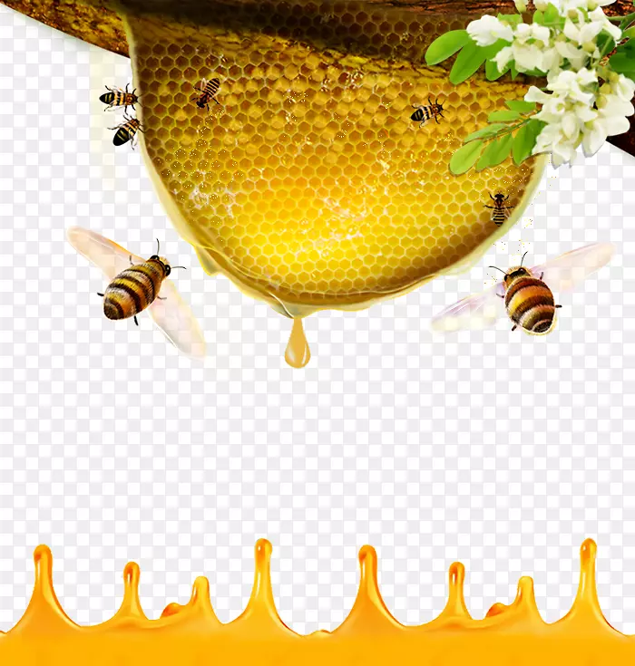 蜜蜂蜂巢-蜜蜂