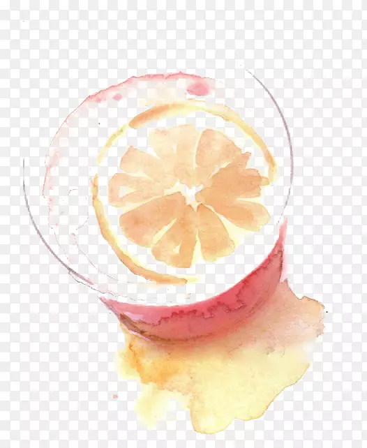 柠檬水水彩画插图-画柠檬水