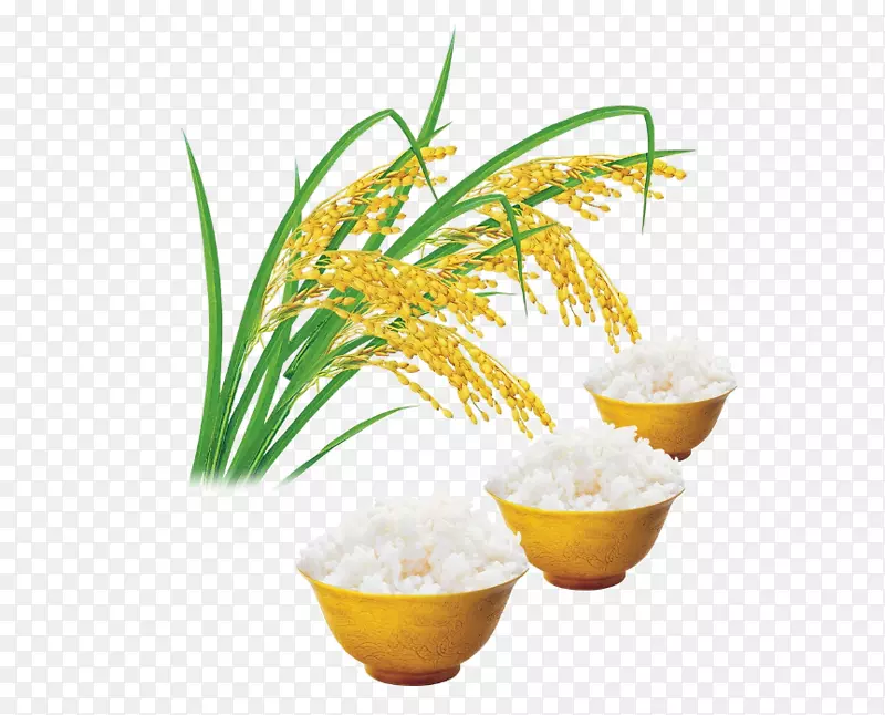 籼稻、月饼、谷类食品-大米和大米