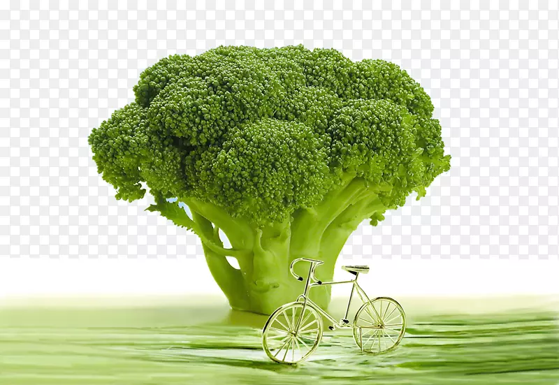 空气污染、炎症、饮食补充剂、生足功能、健康-花椰菜和自行车