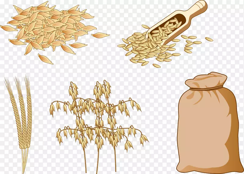 谷物糙米食品燕麦粗粮和糙米