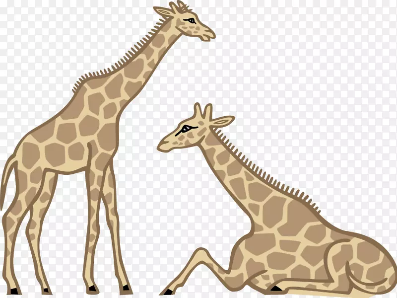 长颈鹿画卡通剪辑艺术长颈鹿照片