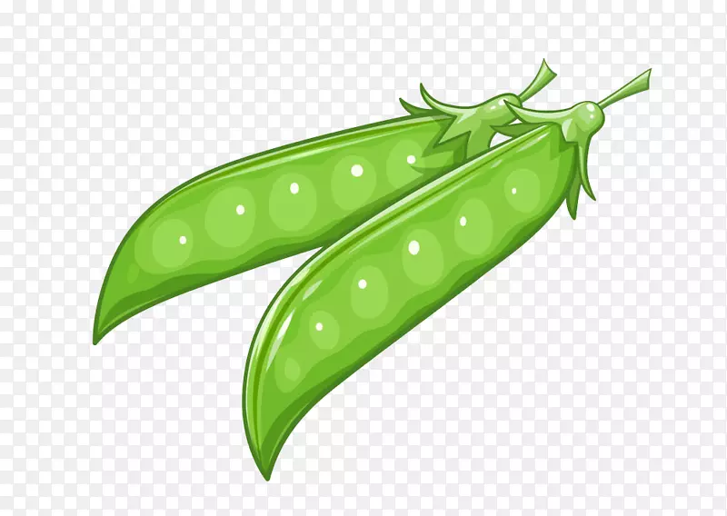 豌豆食品插图-豌豆