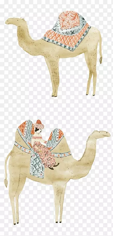 滴水动物-骆驼