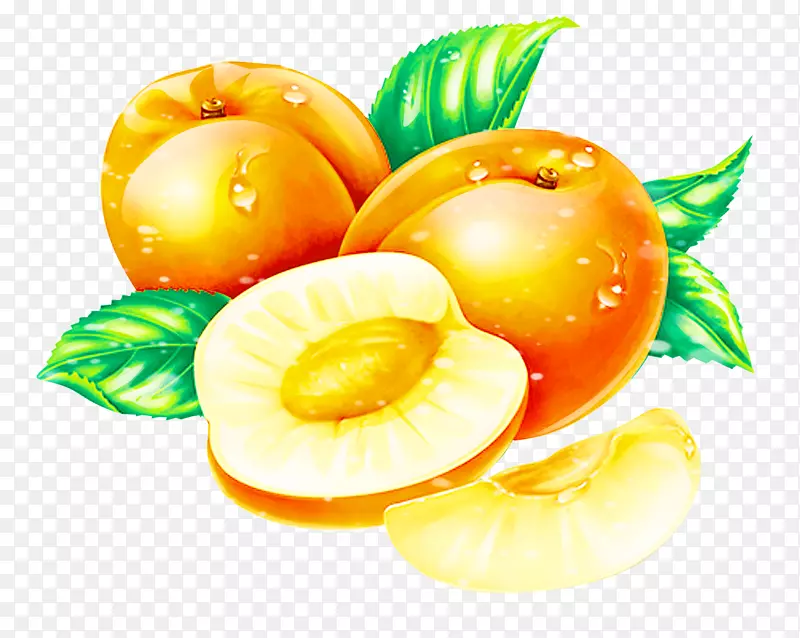 杏桃果-杏