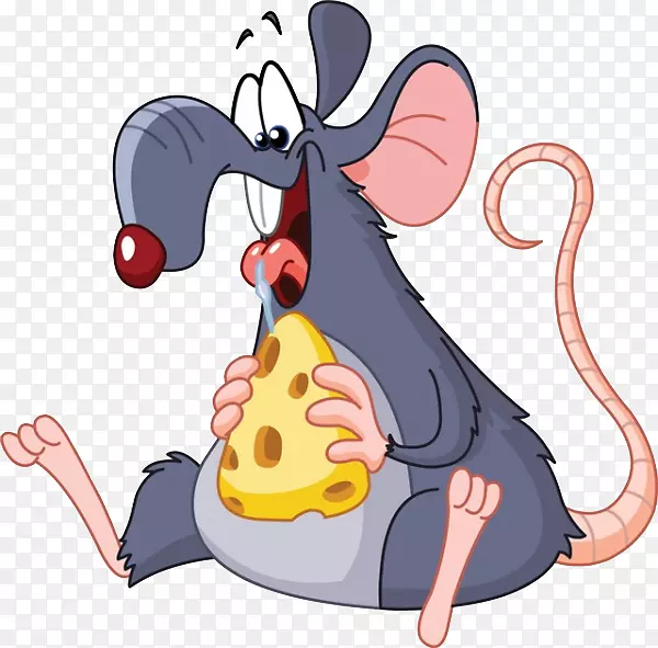 老鼠吃剪贴画-吃奶酪的老鼠