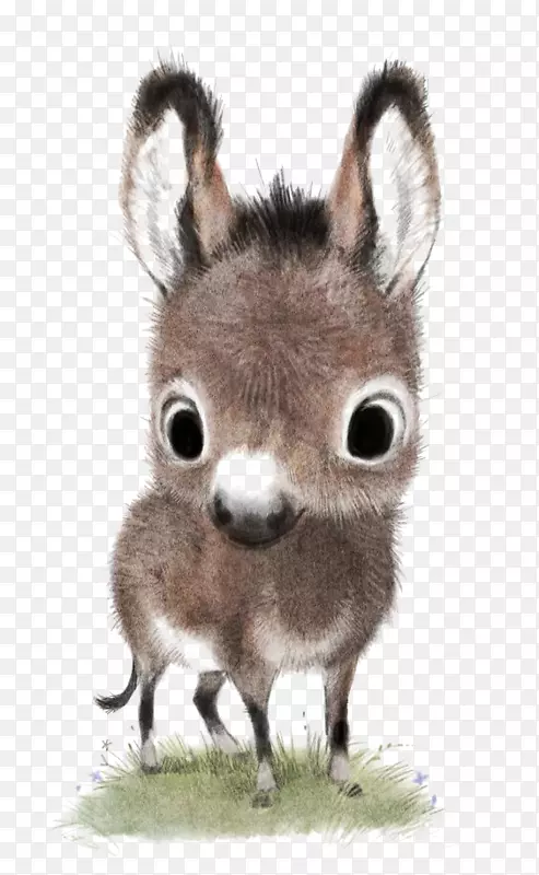 画可爱的动物插图-驴子
