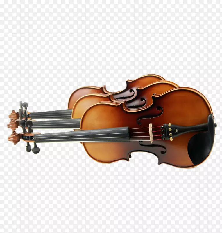 低音小提琴中提琴三小提琴