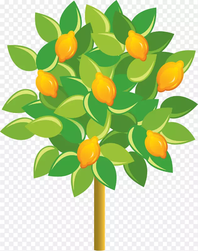 柠檬果树卡通柠檬