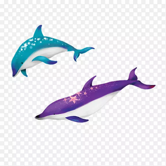 海豚卡通插图-海豚