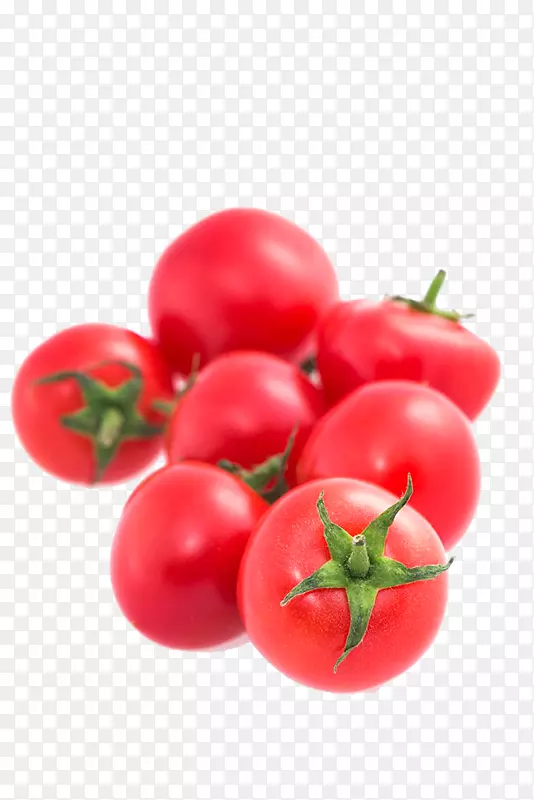 樱桃番茄李子番茄蔬菜灌木番茄