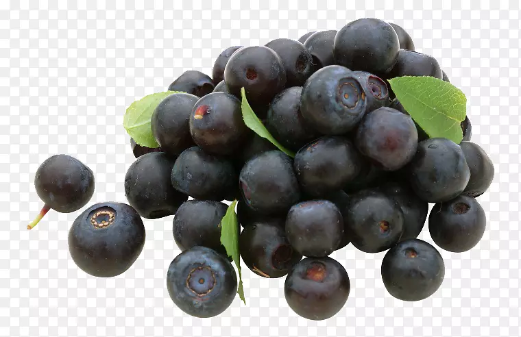 蓝莓葡萄果皮博斯科越橘-蓝莓照片