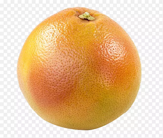 克莱门汀柚子橘子朗普尔-接近葡萄柚