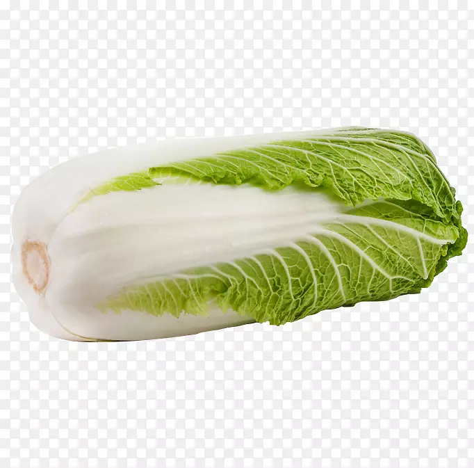 大白菜-青菜卷心菜卷