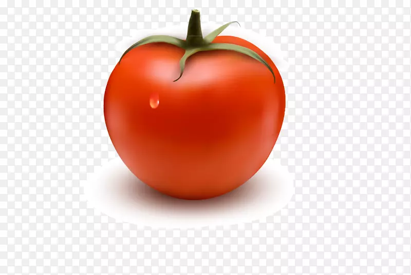番茄汉堡肉制品摄影食品-番茄