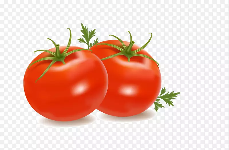 樱桃番茄剪贴画-番茄