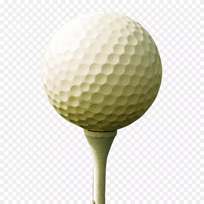 高尔夫球公司-高尔夫