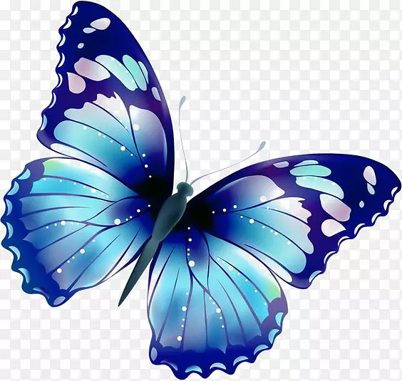 蝴蝶夹艺术-蓝色蝴蝶