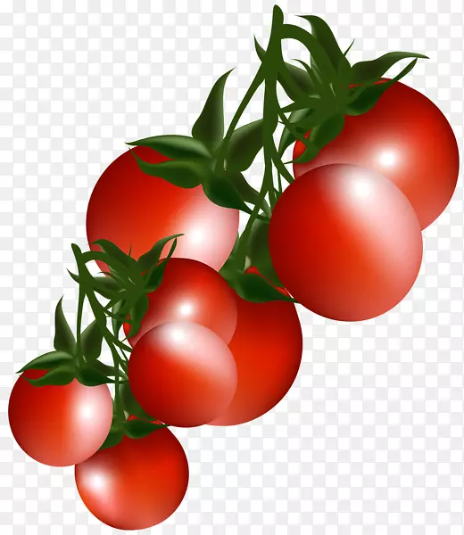 樱桃番茄蔬菜水果剪贴画-番茄