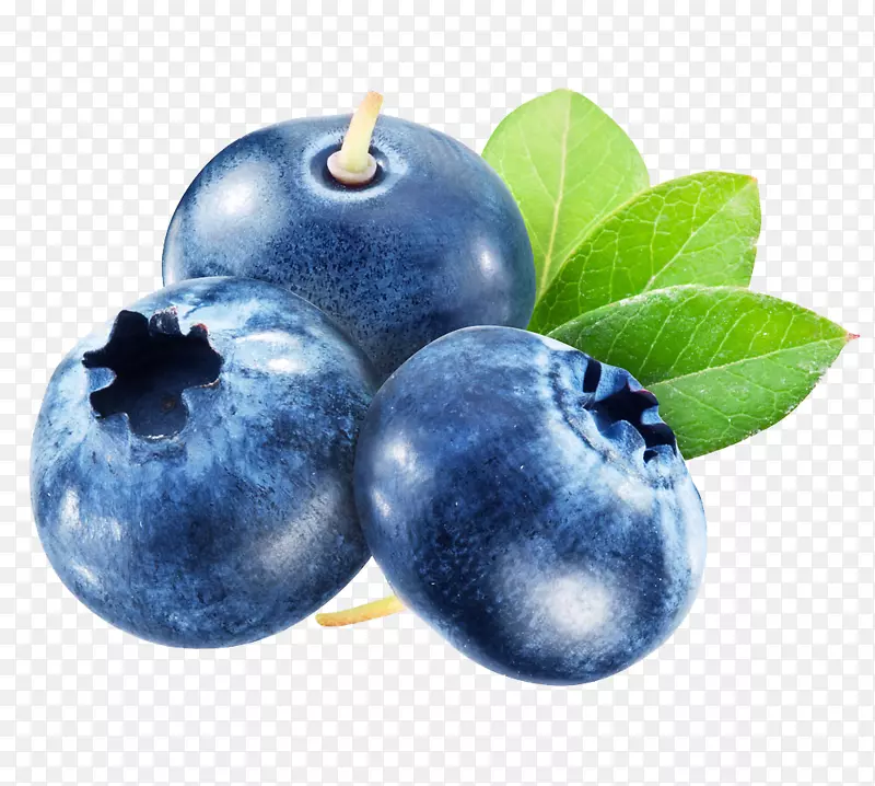 蓝莓茶汁果子粉和博斯科蓝莓熊果苷材料