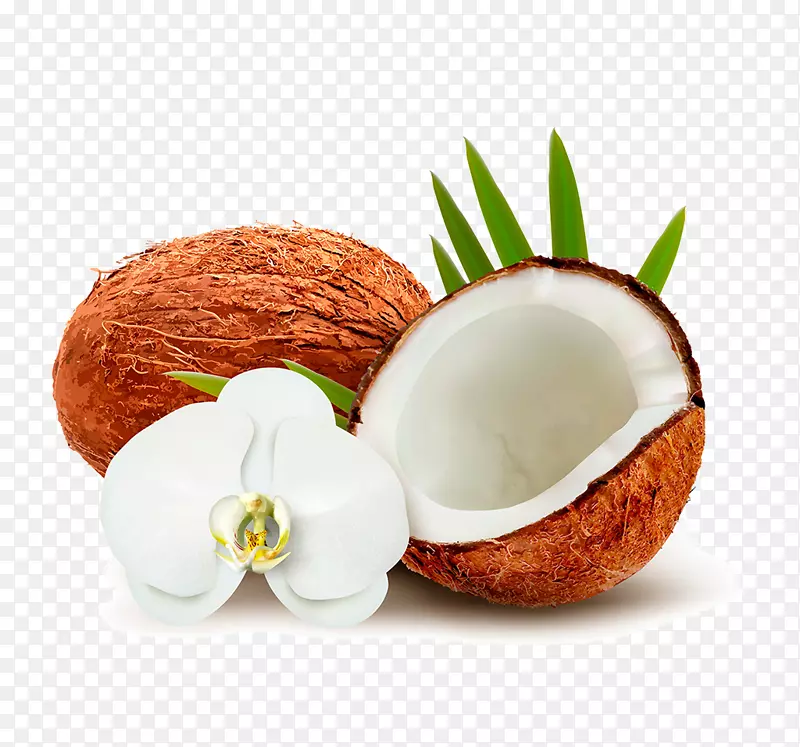 椰子水椰奶夹艺术-椰子